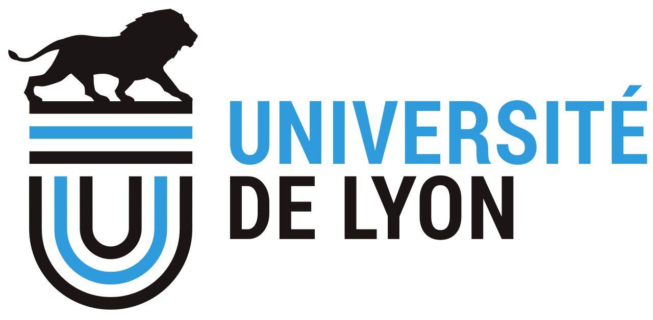 Lyon university 